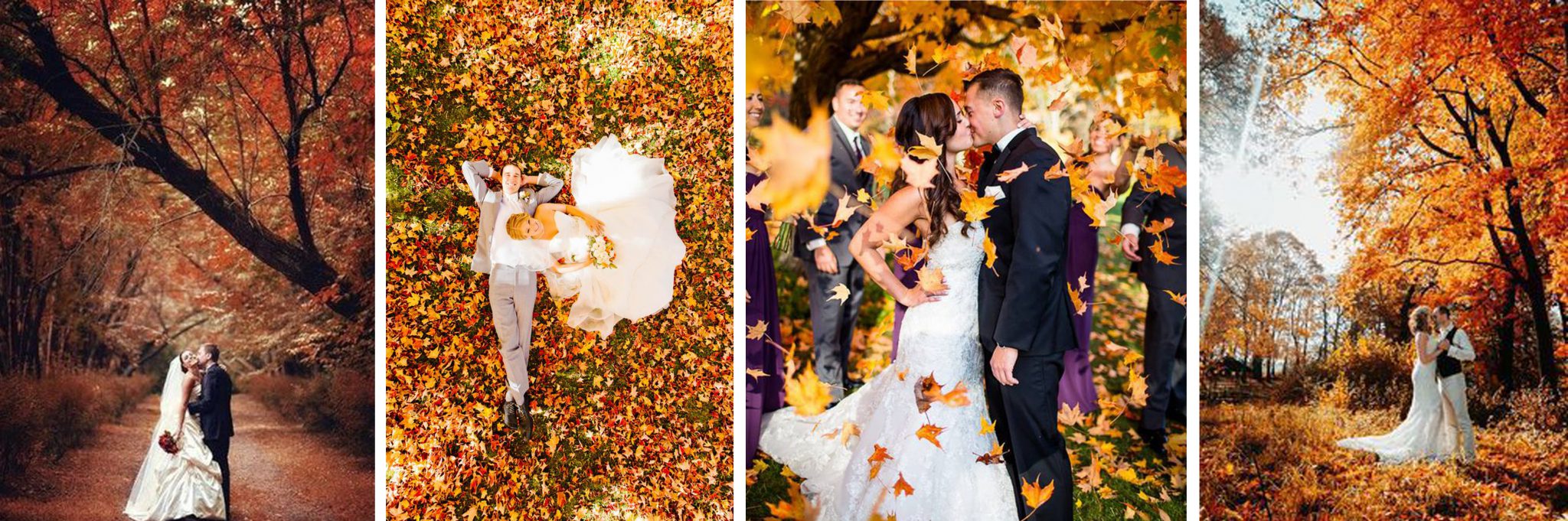 Decoración de bodas de otoño e invierno - Foto 1